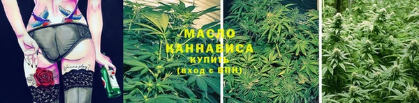 крисы Белоозёрский